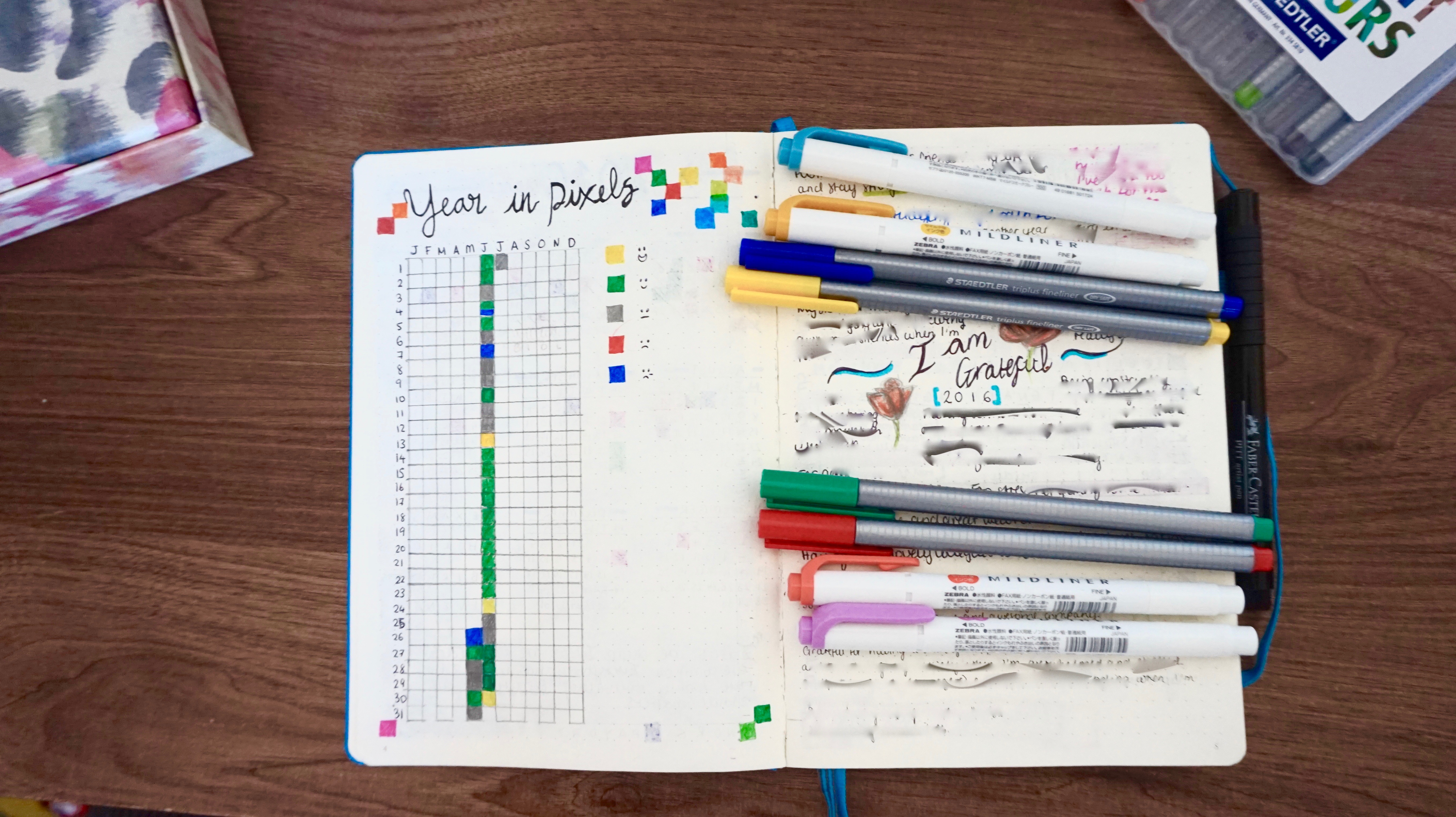 My "Year In Pixels" log and Gratefulness log (that I recently filled up and had to start a new one!) It's blurred because most of it is quite personal.