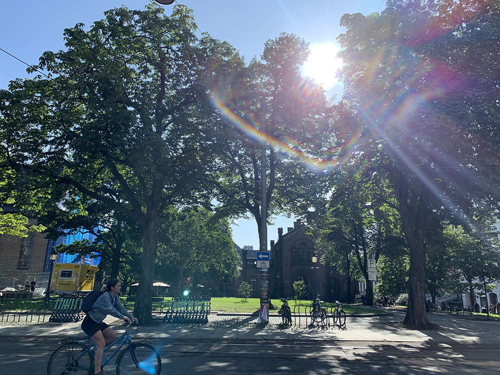 The green streets of Oslo