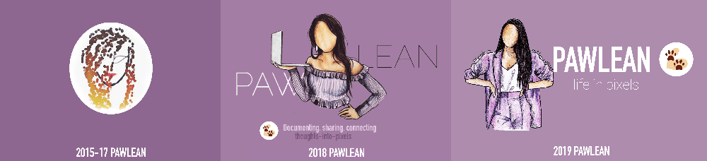 The Pawlean brand over time. My current brand identity was created by Teecaake.